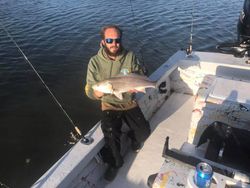 Redfish Caught in Tampa Bay 